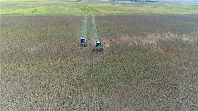 Tarımda yeni dönem başlıyor! İlk kiralama tarihi belli oldu | Genel Haberler