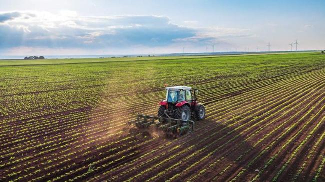 Boş tarım arazisinde ilk kiralama kasımda | Ekonomi Haberleri