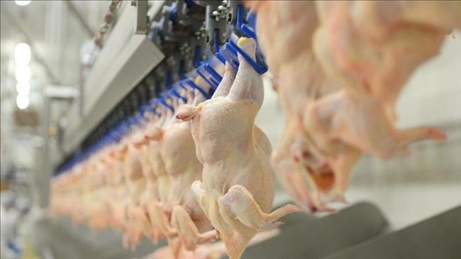 Beyaz et devleri için gözler Rekabet Kurulun'da | Genel Haberler