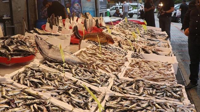 Balıkçı tezgahlarında bolluk yaşanıyor | Genel Haberler