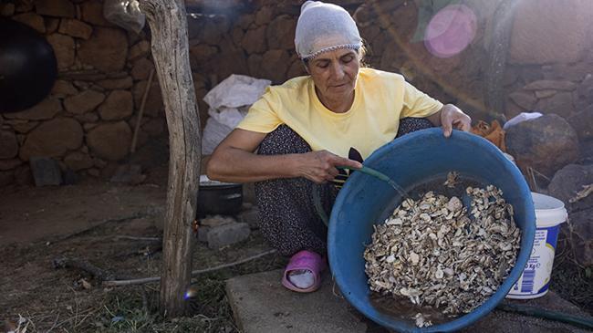 Kökten gelen lezzet! Köylüler kilosunu 5 bin TL'ye satıyor | Kobi Haberleri