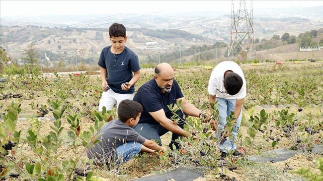 Hastalığına şifa aradı, hayatının işini buldu! Daha dalındayken sattı | Kobi Haberleri