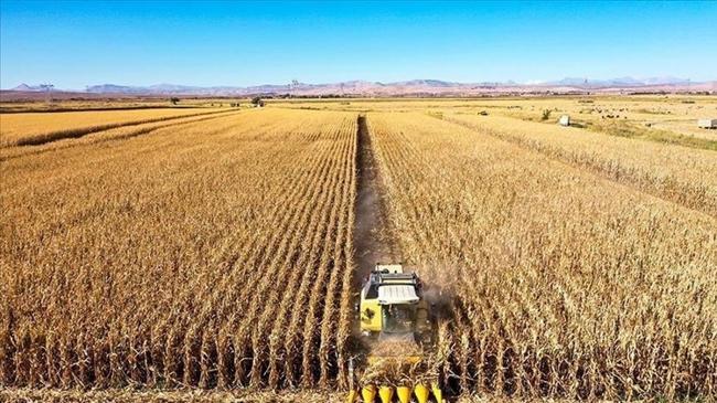 Tarım ÜFE ağustosta azaldı | Ekonomi Haberleri