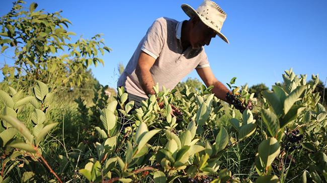 Kanserden kaybettiği eşi için bulamadı! Şimdi üretip ücretsiz dağıtıyor | Kobi Haberleri