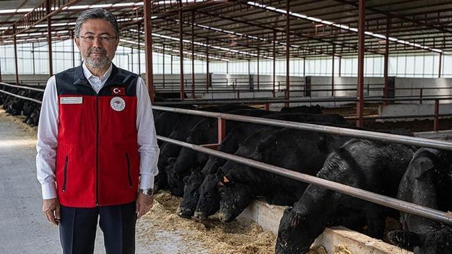 Bakan Yumaklı: Hayvan sayıları beklentinin üzerinde | Genel Haberler