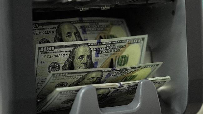 Finansal kesim dışındaki firmaların net döviz açığı temmuzda azaldı | Ekonomi Haberleri