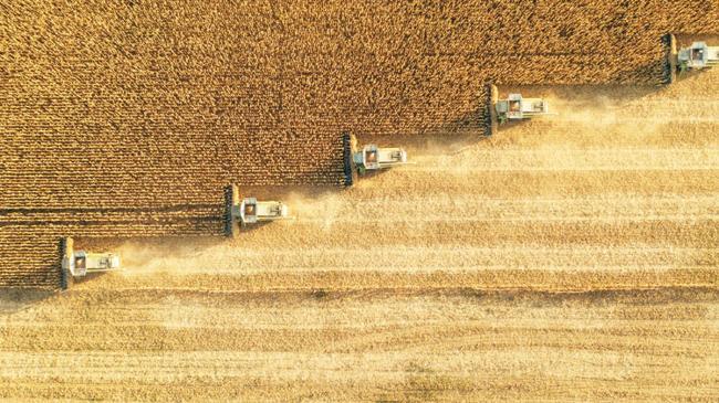Tarımda iklim sınavı | Ekonomi Haberleri