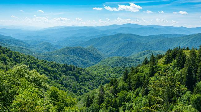 Orman Genel Müdürlüğü işçi alacak | Genel Haberler