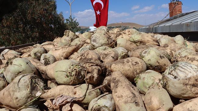 Şeker pancarı alım fiyatı belli oldu | Ekonomi Haberleri
