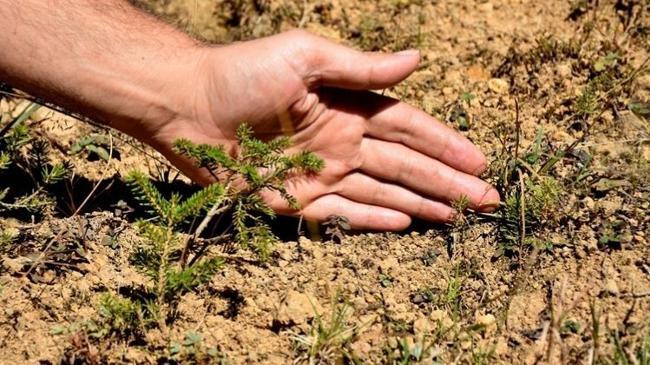 Biyoçeşitlilik çalışmasına ödül | Ekonomi Haberleri