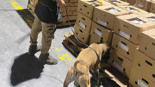 1.7 ton fosil ununa emdirilmiş uyuşturucu ele geçirildi | Genel Haberler