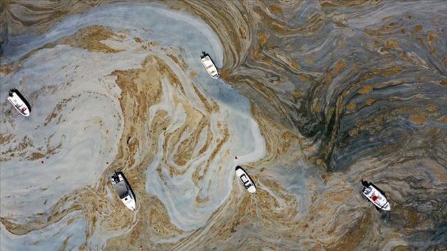 Müsilaj mağduru balıkçıya çifte destek müjdesi! | Genel Haberler