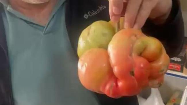 Yerli tohumun gücü şaşırttı! Tam 1 kilo 400 gram | Genel Haberler