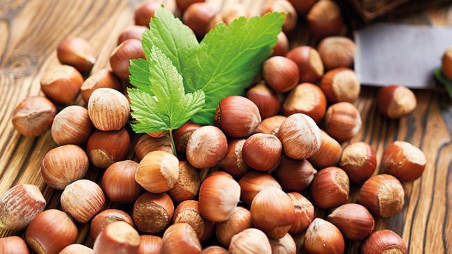 Fındık savaşı... Alımı durduran Ferrero’ya Rekabet Kurumu’ndan yanıt | Ekonomi Haberleri