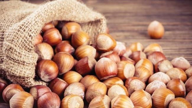 Fındıkta kriz büyüyor | Ekonomi Haberleri