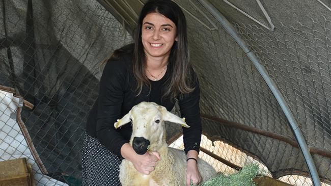 Devlet desteğiyle besiciliğe başladı, 250 hayvana ulaştı | Girişim Haberleri