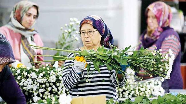 Çiçek ihracatında rekor bekleniyor | Ekonomi Haberleri