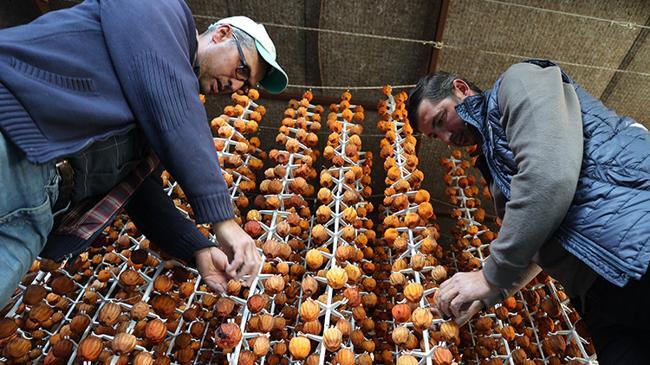 Girişimci iki komşu kuruttukları cennet hurmalarını yurt dışına satıyor