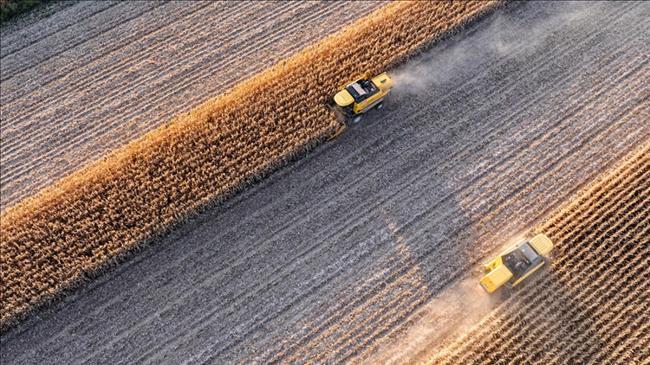 Tarımsal girdi fiyat endeksi eylülde aylık ve yıllık arttı | Ekonomi Haberleri