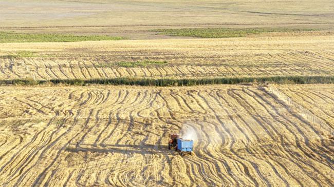 Kiralanacak arazilerin yüzde 55’inde üretim başladı | Ekonomi Haberleri