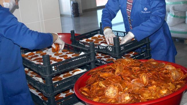 Memurluğu bıraktı, patron oldu! Hurmadan cips yaptı, ihracata başladı