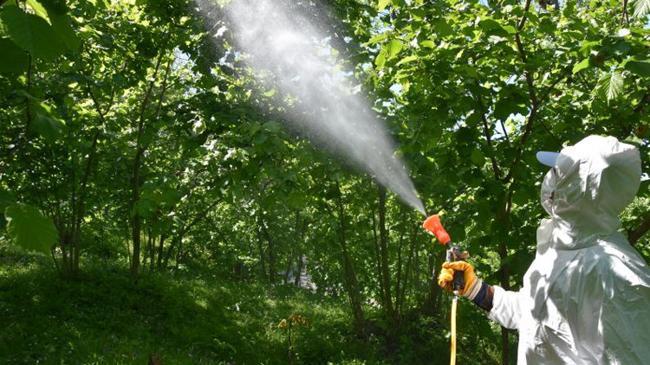 Zehirlenme vakaları sonrası yeni karar! Artık zorunlu oldu | Genel Haberler