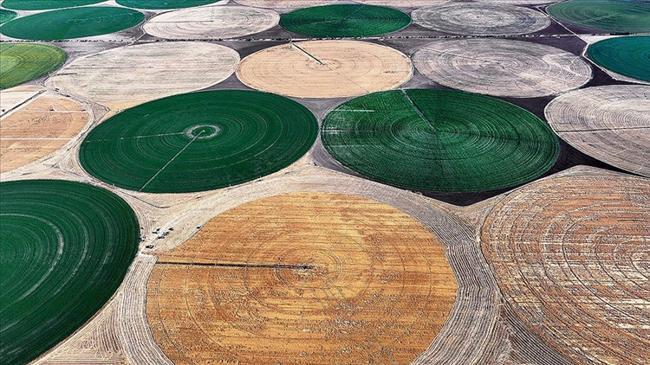 Lisanslı depoculukta idari para cezaları artırıldı | Genel Haberler