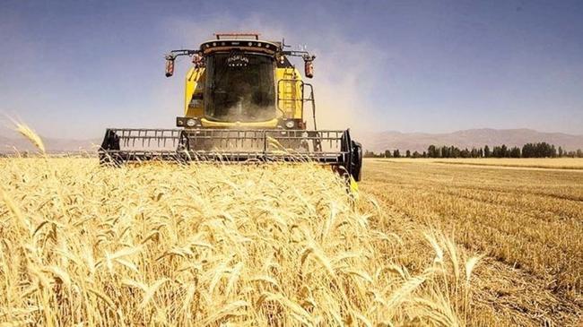 Kuraklık en çok meyveyi vurdu | Ekonomi Haberleri