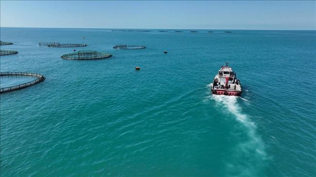 ‘Balık üretiminde tarihi rekor kırdık’ | Ekonomi Haberleri