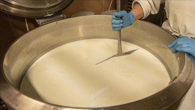 TÜSEDAD'dan çiğ süte zam talebi | Ekonomi Haberleri