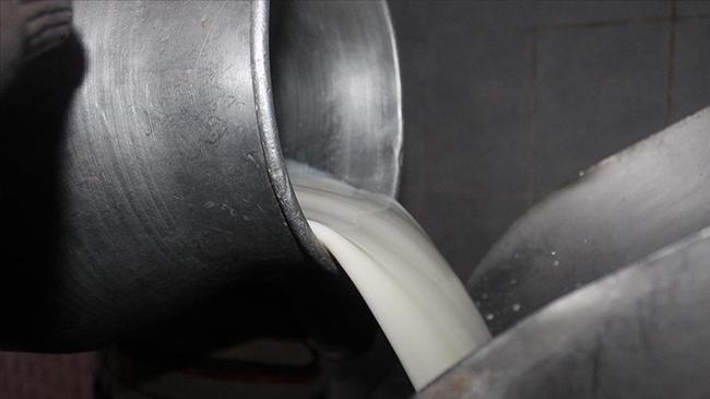 Çiğ süt fiyatı belli oldu | Ekonomi Haberleri