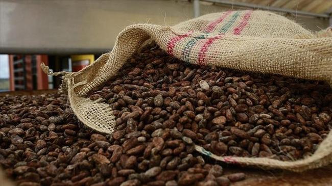 Türkiye, yetiştirmediği üründen 1,7 milyar dolar kazandı | Genel Haberler