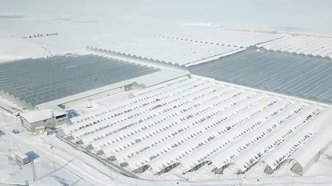 Karlar altında üretim! Ağrı’da tarıma dev yatırım | Genel Haberler