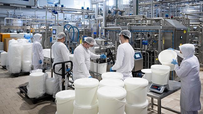 Kadın eli değdi, ihracat hazırlıkları başladı