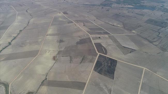 Tarlası boş olanlar dikkat! Masrafın yüzde 75'ini devlet karşılayacak | Genel Haberler