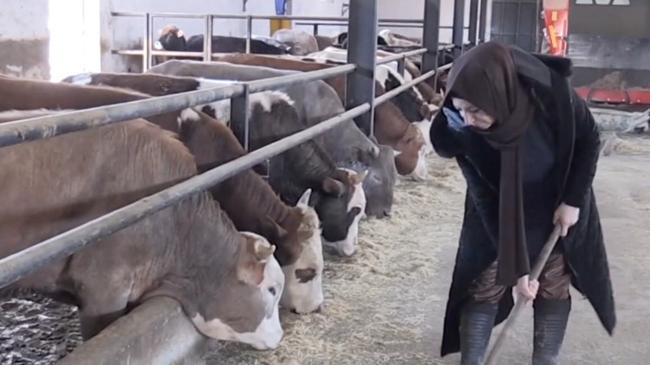 Şehirden köye gurur veren dönüş! Devlet desteği ile hayallerine kavuştu