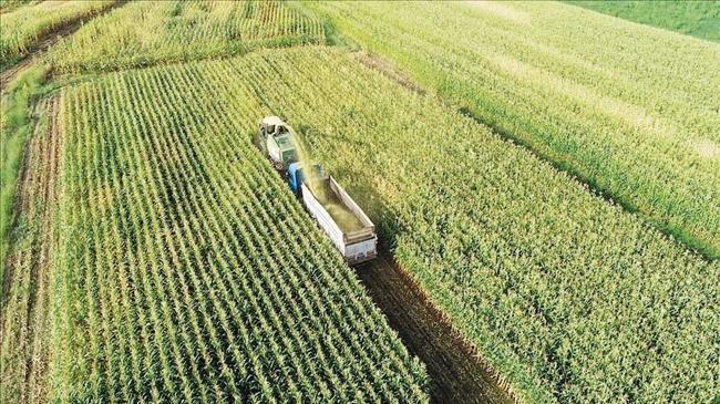 Tarımda iki önemli adım... Atıl araziler devreye alınıyor | Ekonomi Haberleri