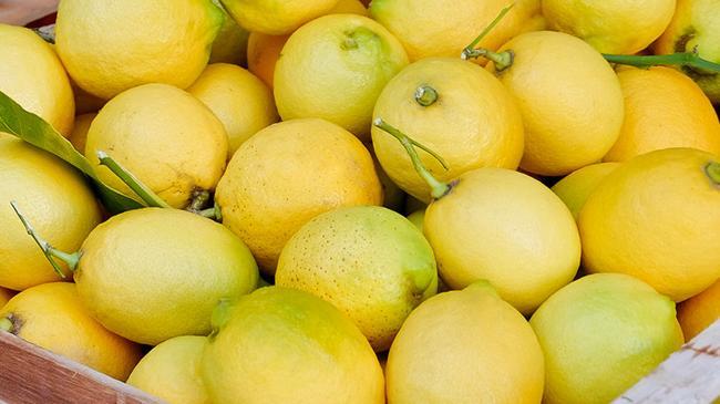Limonda gümrük vergisi yeniden düzenlendi | Genel Haberler