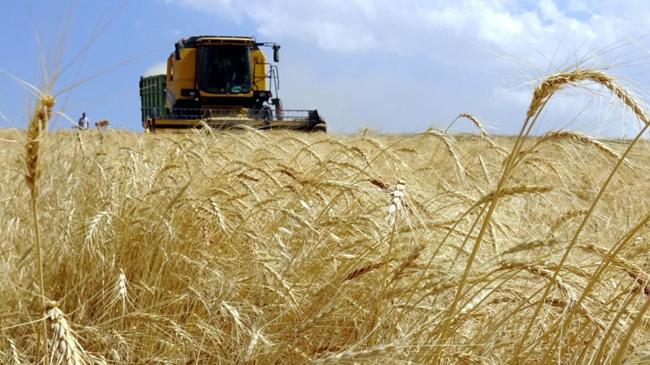 Tarımda yeni dönem başladı: Dijital çağ | Genel Haberler