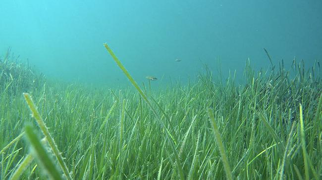 Denizde ‘42 milyar dolarlık kayıp’ riski | Ekonomi Haberleri