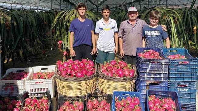 Seraları tropikal havası sardı | Ekonomi Haberleri