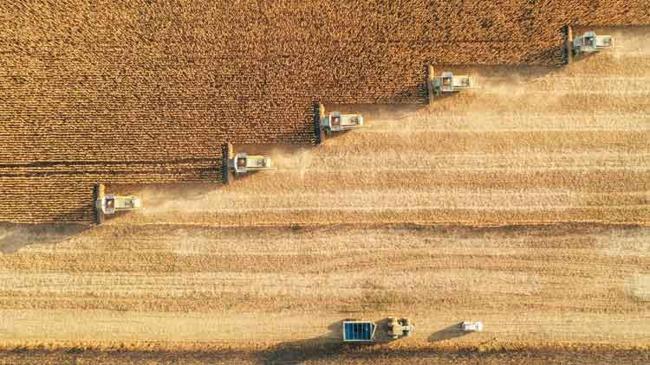 Tarıma iklim ve maliyet kıskacı | Ekonomi Haberleri