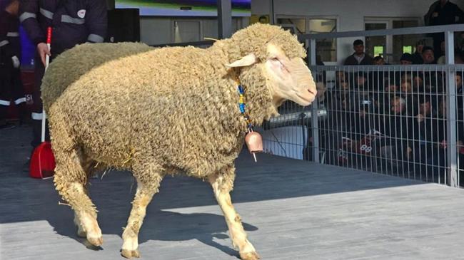 Lüks otomobil fiyatına koç! Fiyatı dudak uçuklattı | Genel Haberler