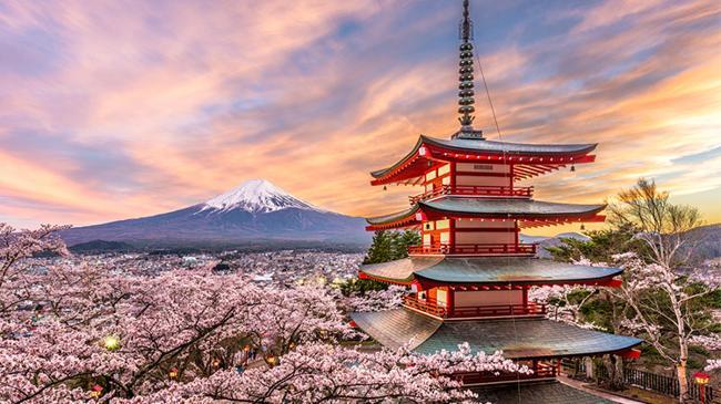 IMF den Japonya ekonomisine övgü