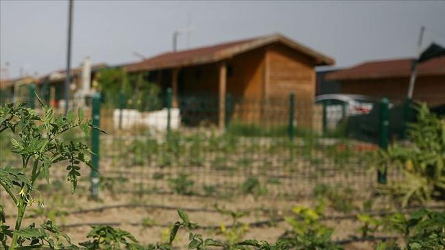 Tarlasında evi olanlar dikkat! Resmi Gazete'de yayınlandı... Bakanlık yıkmak için harekete geçti | Genel Haberler