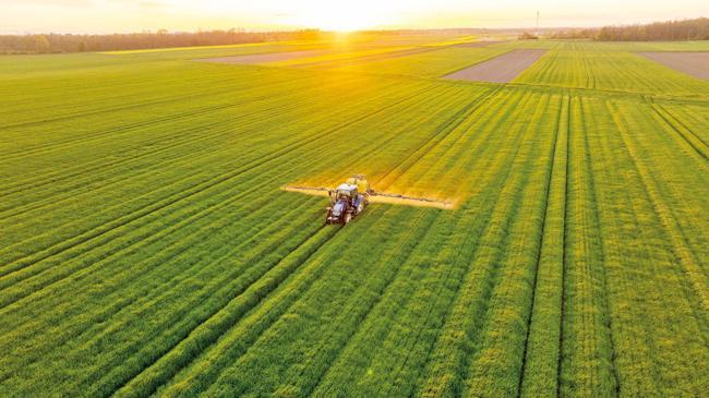 Çiftçinin zor seçimi | Ekonomi Haberleri