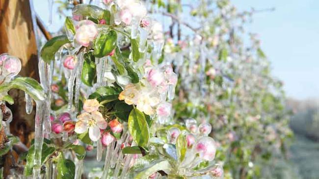 Tarımda kritik gece | Ekonomi Haberleri