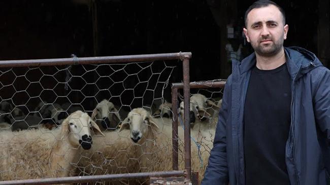 20 koyunla başladı, sonuca kimse inanamadı! Servet değerinde | Kobi Haberleri