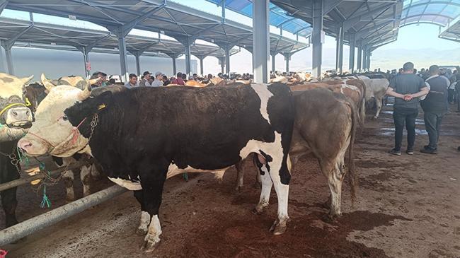 784 milyon liralık yeni besi organize tarım bölgesi yatırımı