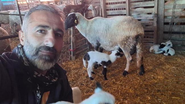Sakız ve Ile de France birleşti, ezberler bozuldu! Hayvancılıkta yeni dönem | Kobi Haberleri